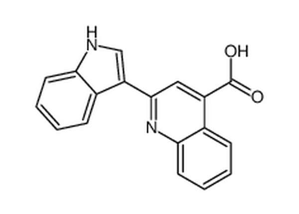 2-吲哚-3-基-喹啉-4-羧酸