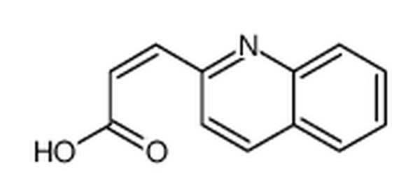 3-喹啉-2-丙烯酸