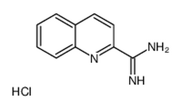 喹啉-2-羧酰胺盐酸盐