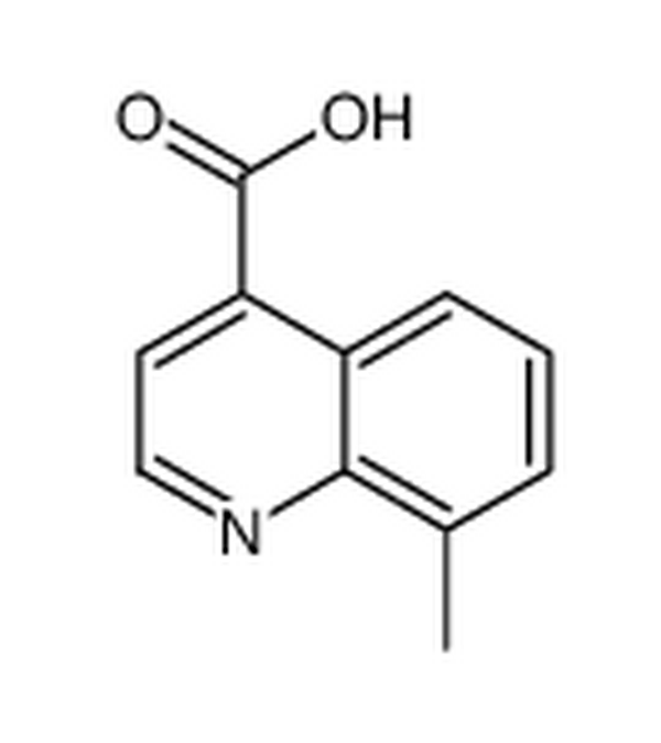 8-甲基喹啉-4-羧酸