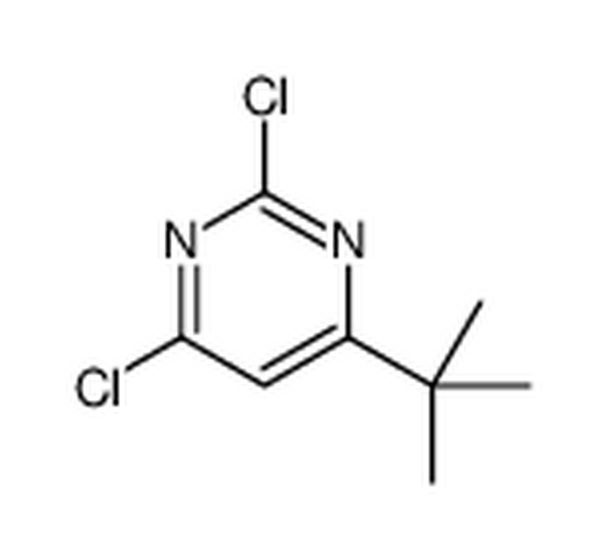 4-叔丁基-2,6-二氯嘧啶