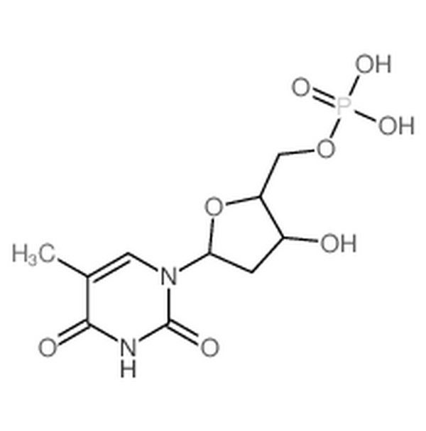 胸腺嘧啶脱氧核苷酸