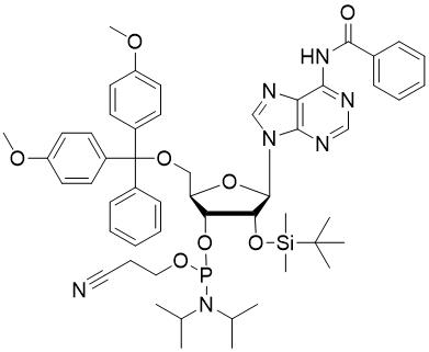 Bz-rA 亚磷酰胺单体