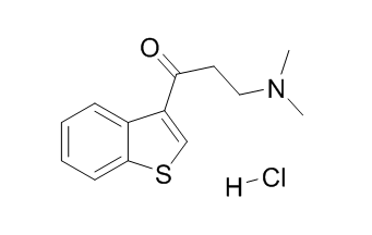 AQ 1989