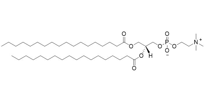 二硬脂酰基磷脂酰胆碱