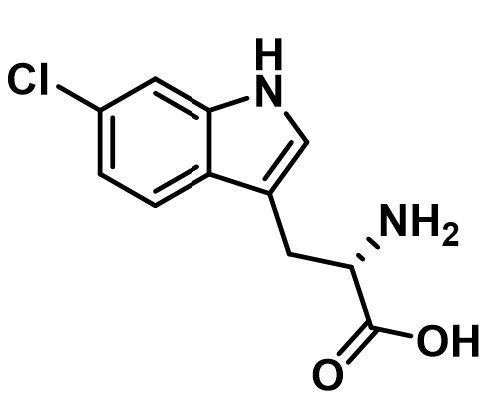 6-氯-L-色氨酸