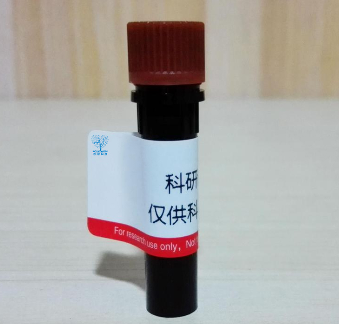 3-氨基-N-甲基丙酰胺盐酸盐,3-amino-N-methylpropanamide hydrochloride