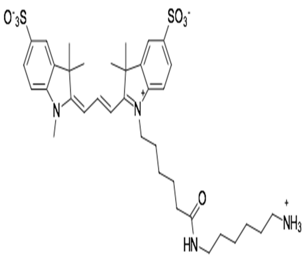 disulfo-Cy3 amine，Sulfo-Cyanine3 amine，磺化Cyanine3氨基