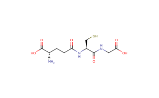 谷胱甘肽 GSH 70-18-8