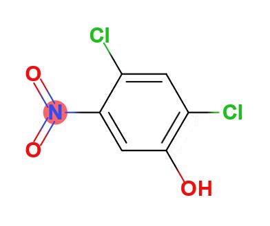 2,4-二氯-5-硝基苯酚