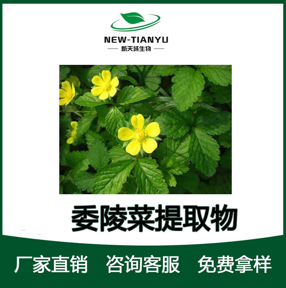 委陵菜提取物/植物提取物/翻白草提取物