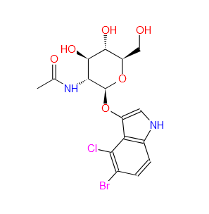 5-溴-4-氯-3-吲哚基-N-乙酰-beta-D-氨基葡萄糖苷