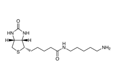 生物素-氨基，5-(氨基维生素)戊胺