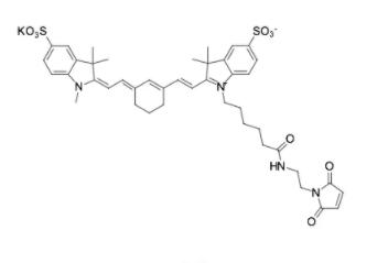 磺酸Cyanine5标记马来酰亚胺