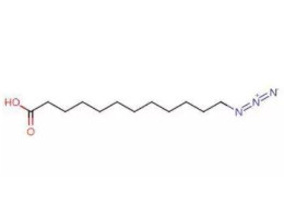 12-叠氮十二酸，12-Azido-dodecanoic acid