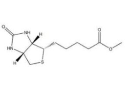 60562-11-0，D-biotin methyl ester