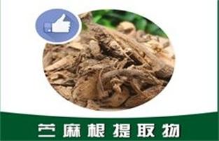 苎麻根提取物