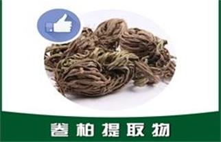 卷柏提取物