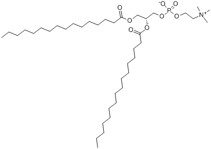 二棕榈酰磷酯酰胆碱
