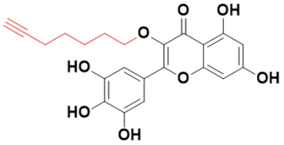 端炔杨梅素-4