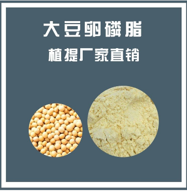 大豆卵磷脂98%