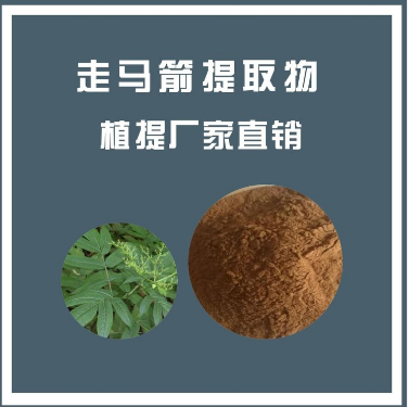 走马箭提取物