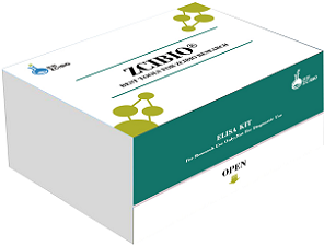 Human 11-DH-TXB2 ELISA Kit