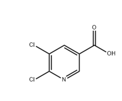 5，6-二氯烟酸