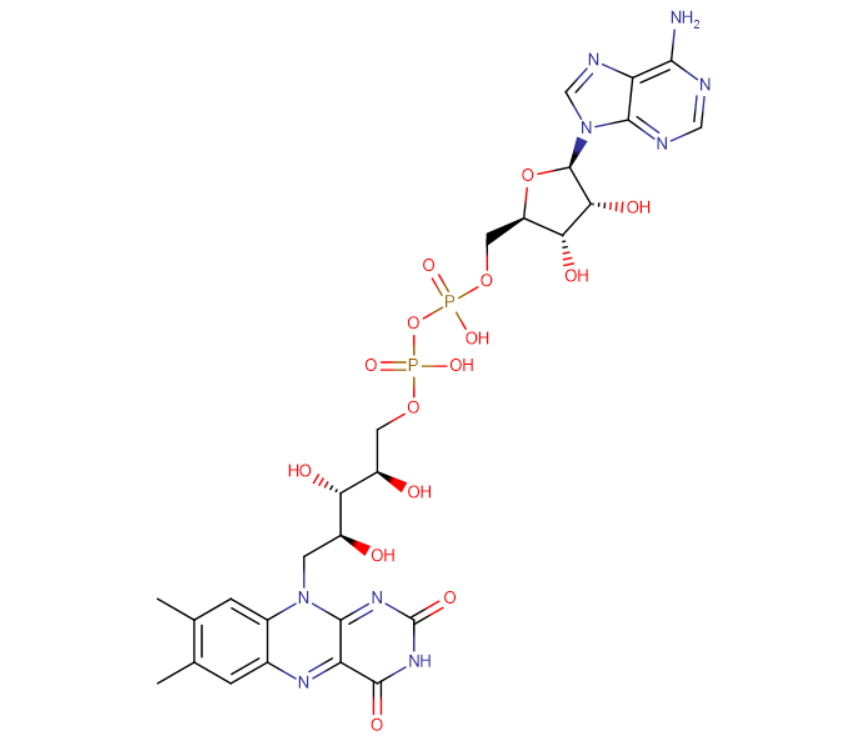 腺嘌呤黄素二核苷酸