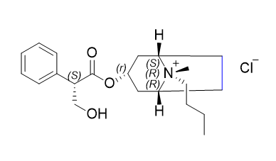 丁溴东莨菪碱杂质08-氯盐