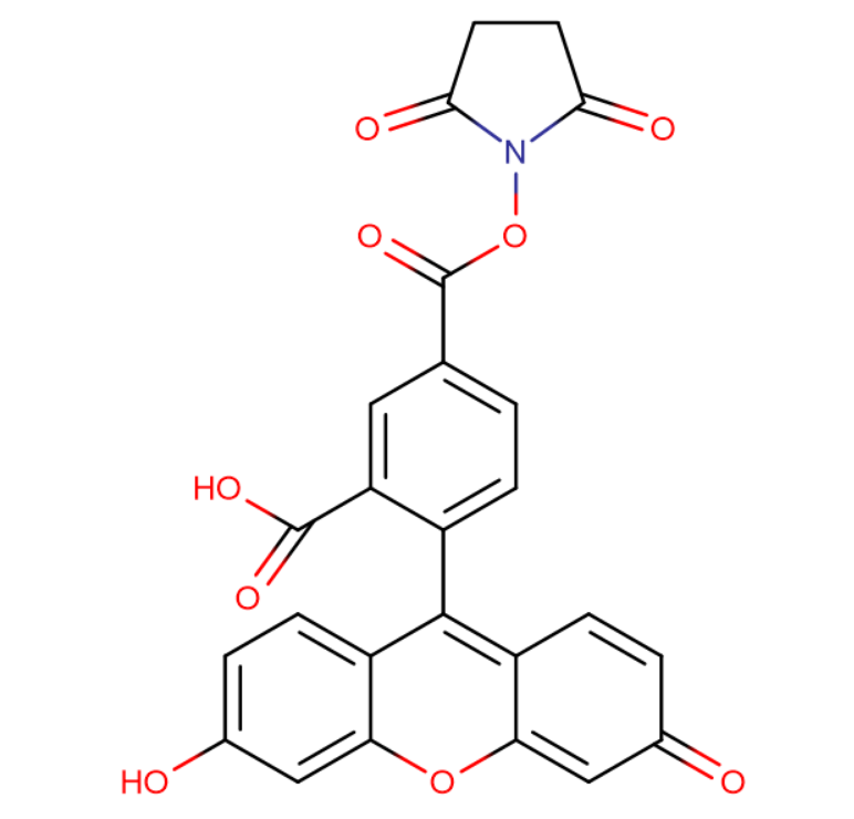 5-羧基荧光素琥珀酰亚胺酯