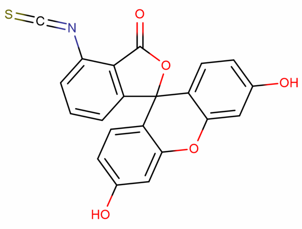 6-异硫氰酸荧光素