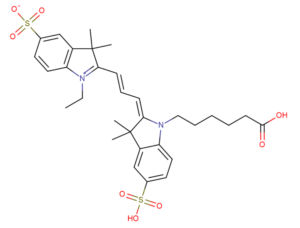 Cy3