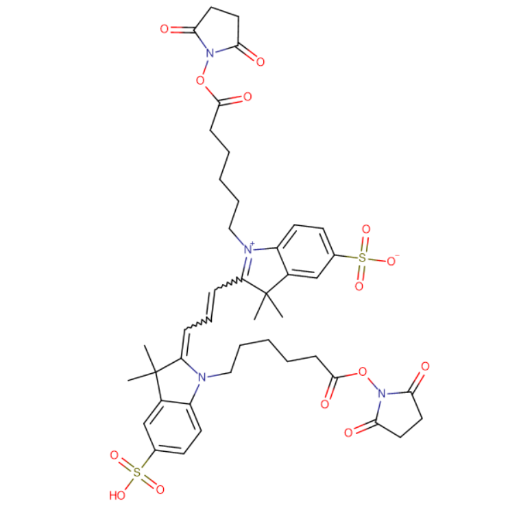 Cy3 DiSE(DiSO3)