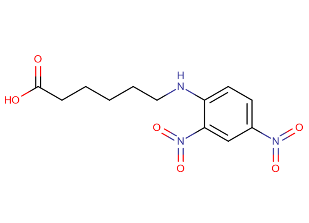 N-(2,4-二硝基苯)-6-氨基己酸