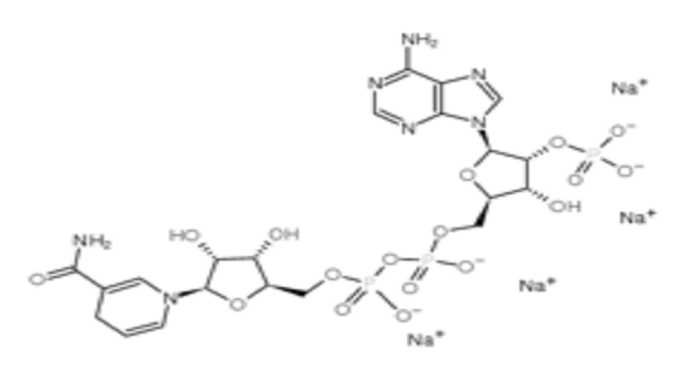 β-烟酰胺腺嘌呤二核苷酸磷酸还原型