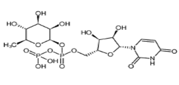 尿苷-5'-二磷酸鼠李糖