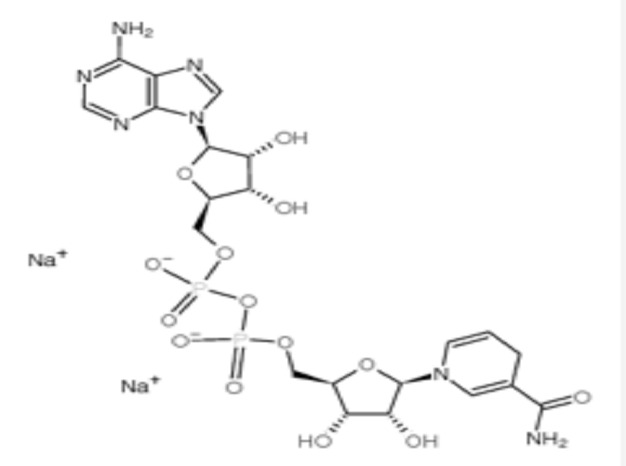 β-烟酰胺腺嘌呤二核苷酸还原型（NADH）