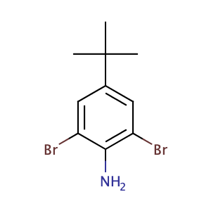 2,6-二溴-4-(叔丁基)苯胺
