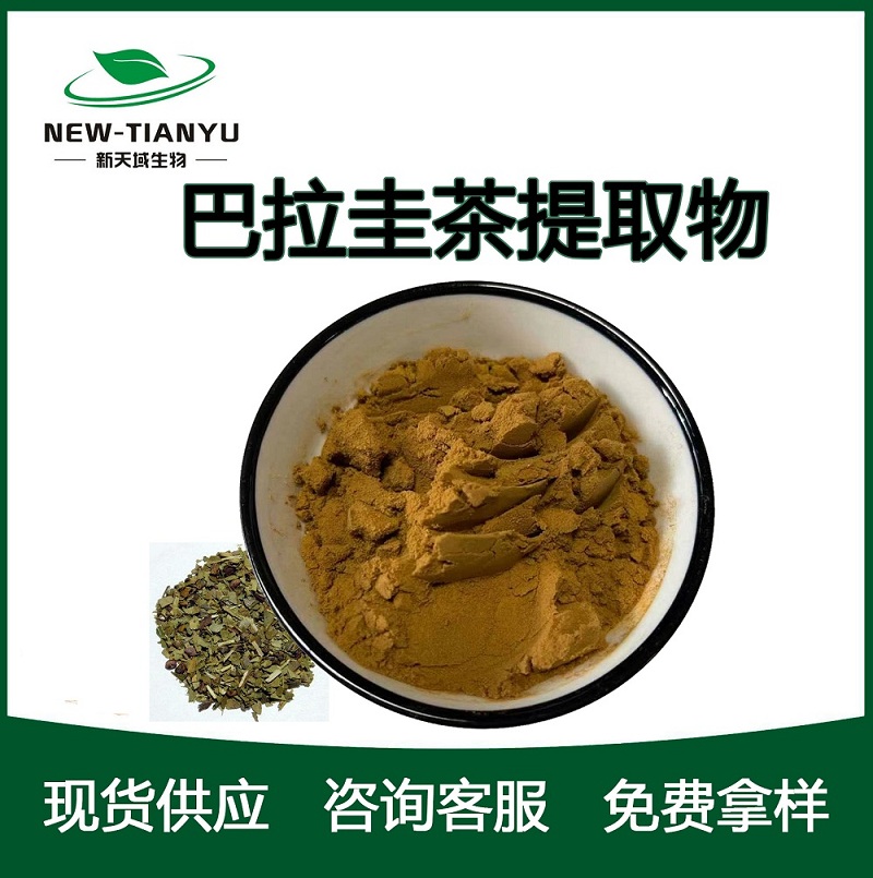 巴拉圭茶提取物