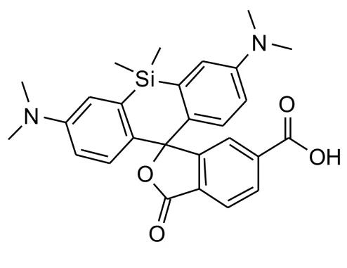 硅基罗丹明-琥珀酰亚胺酯，SiR-NHS ester