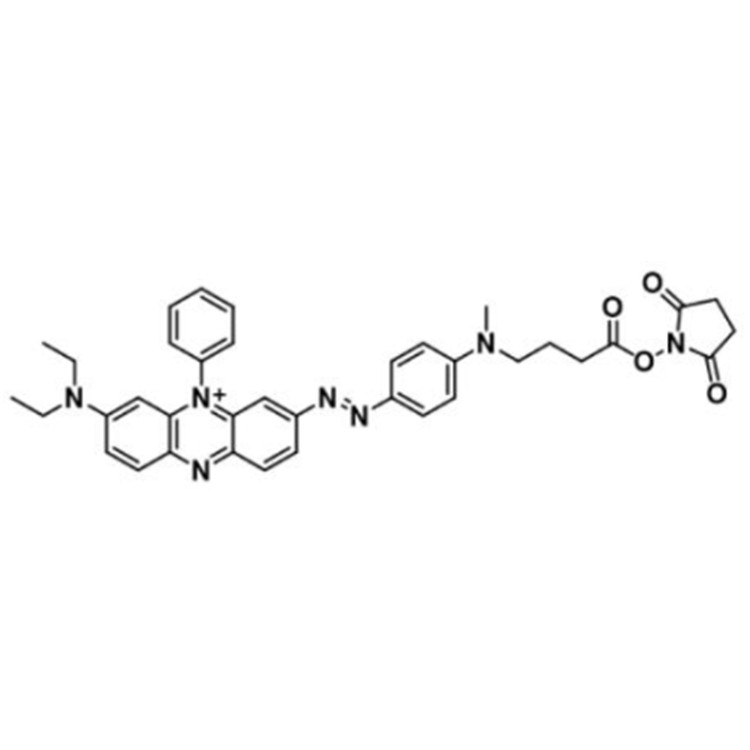 黑暗猝灭剂BHQ-3，BHQ-3 NHS