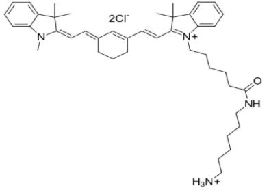 近红外染料Cy7 NH2