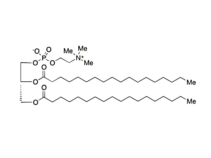 1,2-Distearoyl-sn-glycero-3-phosphocholine