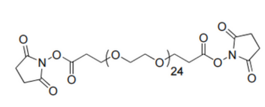 Bis-dPEG25-NHS ester