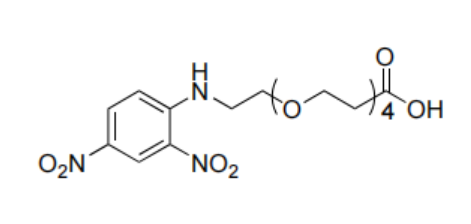 DNP-四聚乙二醇-羧酸