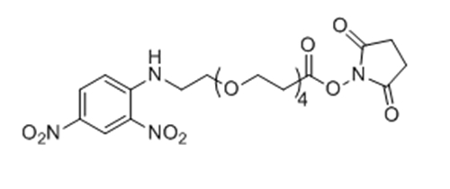DNP-四聚乙二醇-丙烯酸琥珀酰亚胺酯