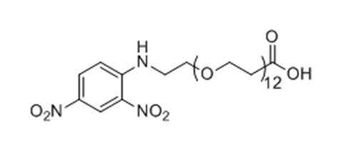 2,4-二硝基苯胺-十二聚乙二醇-丙酸