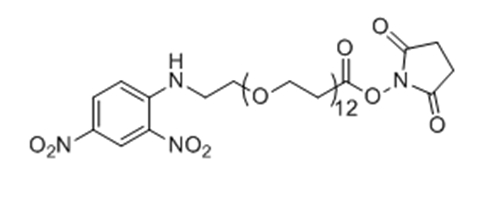 2,4-二硝基苯胺-十二聚乙二醇-NHS酯