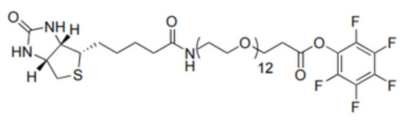 Biotin-dPEG12-TFP ester